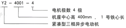 YR系列(H355-1000)高压YR6302-6/1400KW三相异步电机西安西玛电机型号说明